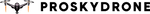 Pro Sky Drone